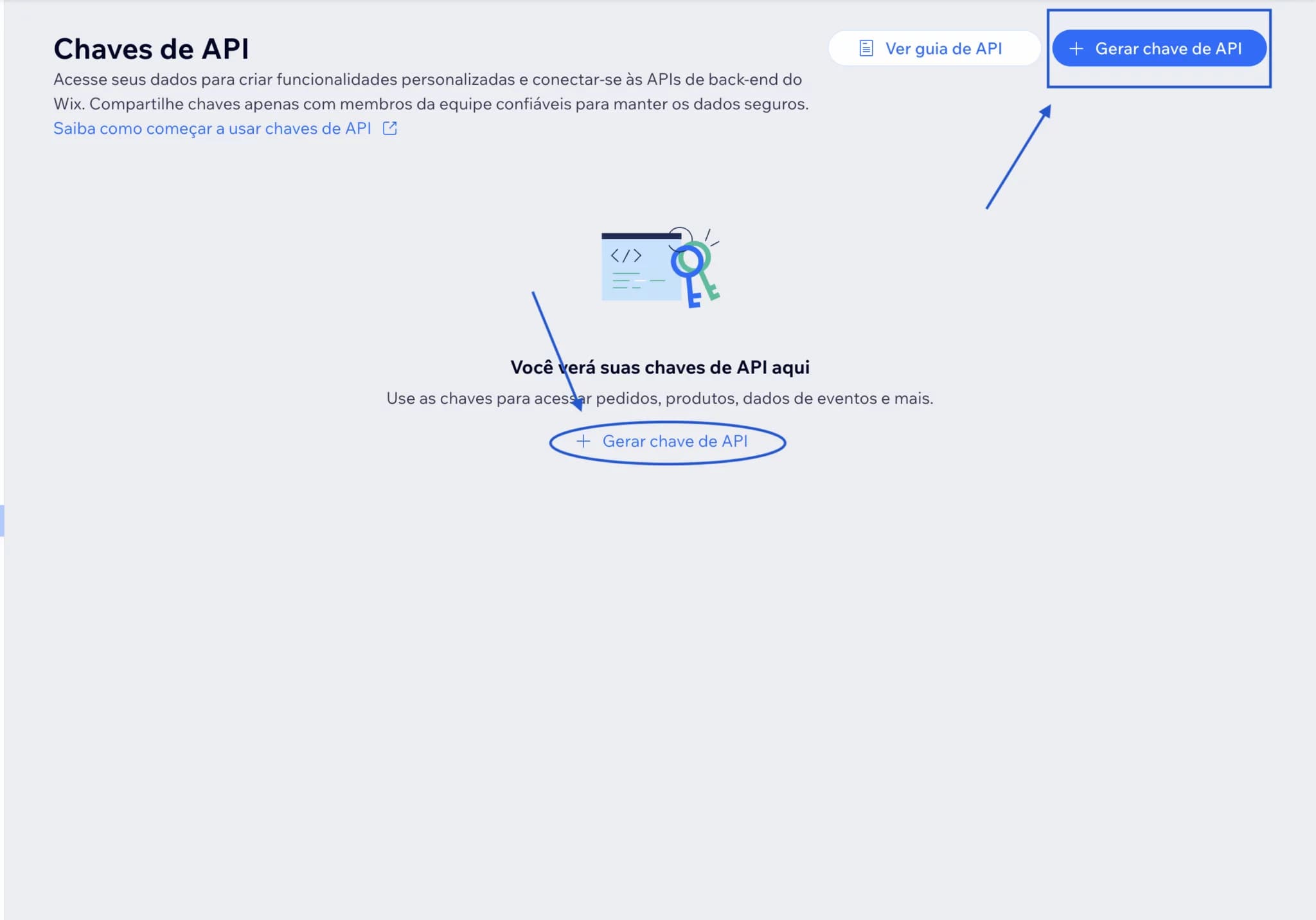 Botão Gerar chave de API